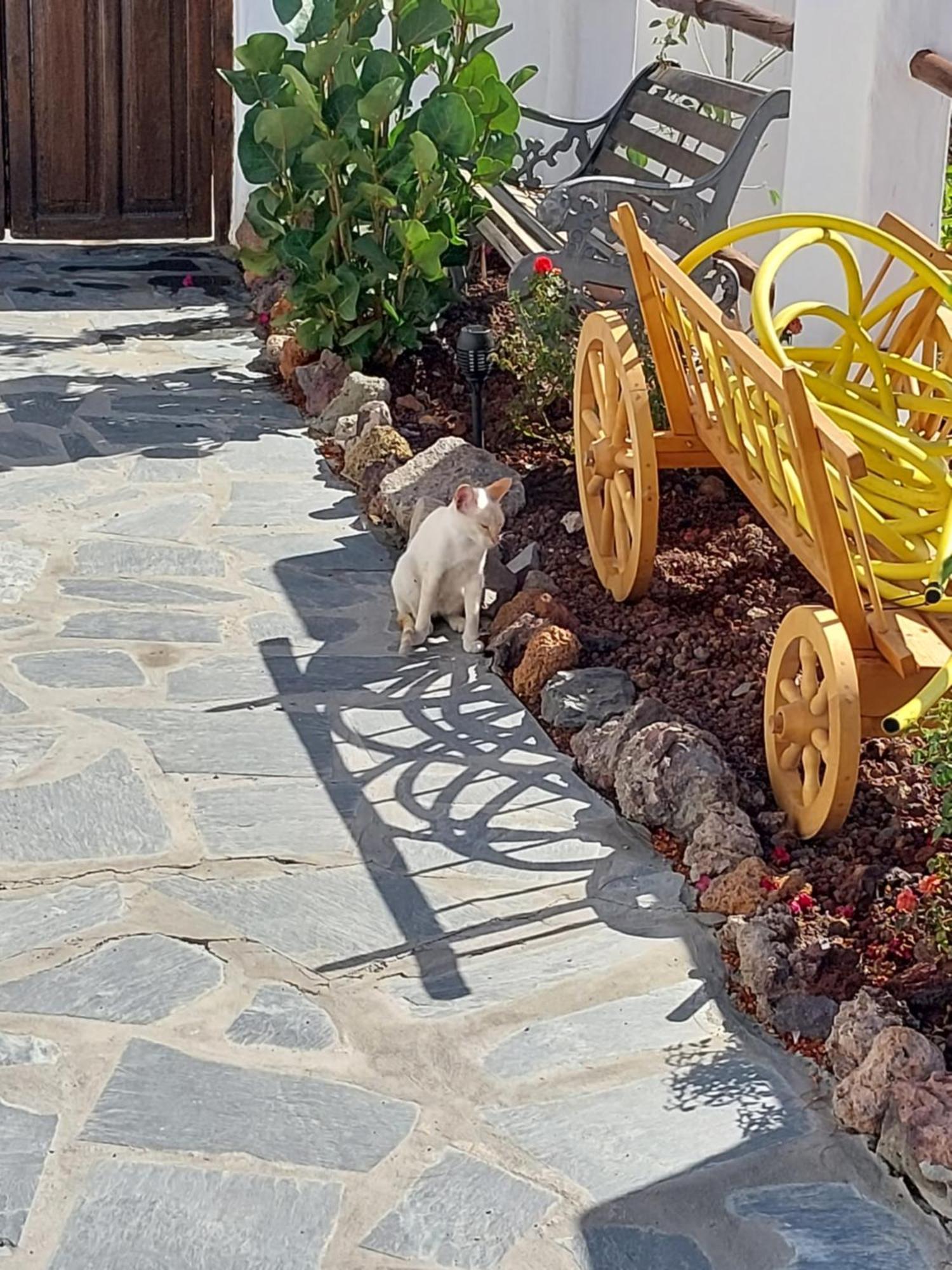 New Cave With Pool See View And Garden Santa Cruz de Tenerife Exterior photo